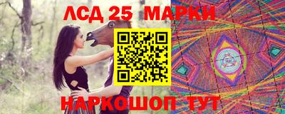 стафф Заводоуковск