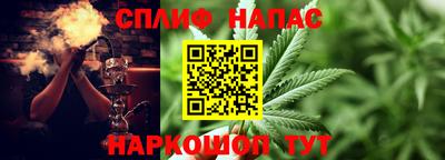 молекула духа Заволжье