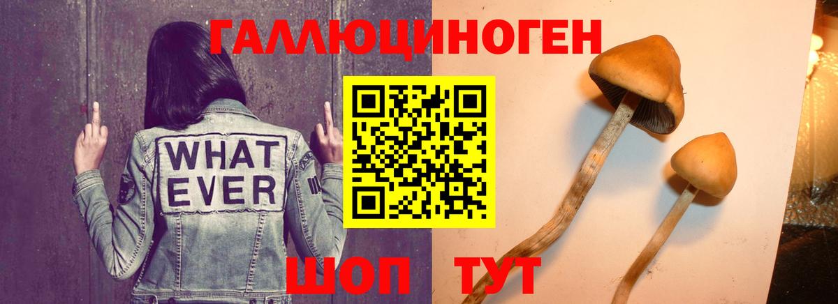 Псилоцибиновые грибы ЛСД  Галлюциногенные грибы MAGIC MUSHROOMS  Вход с VPN  Ликино-Дулёво 